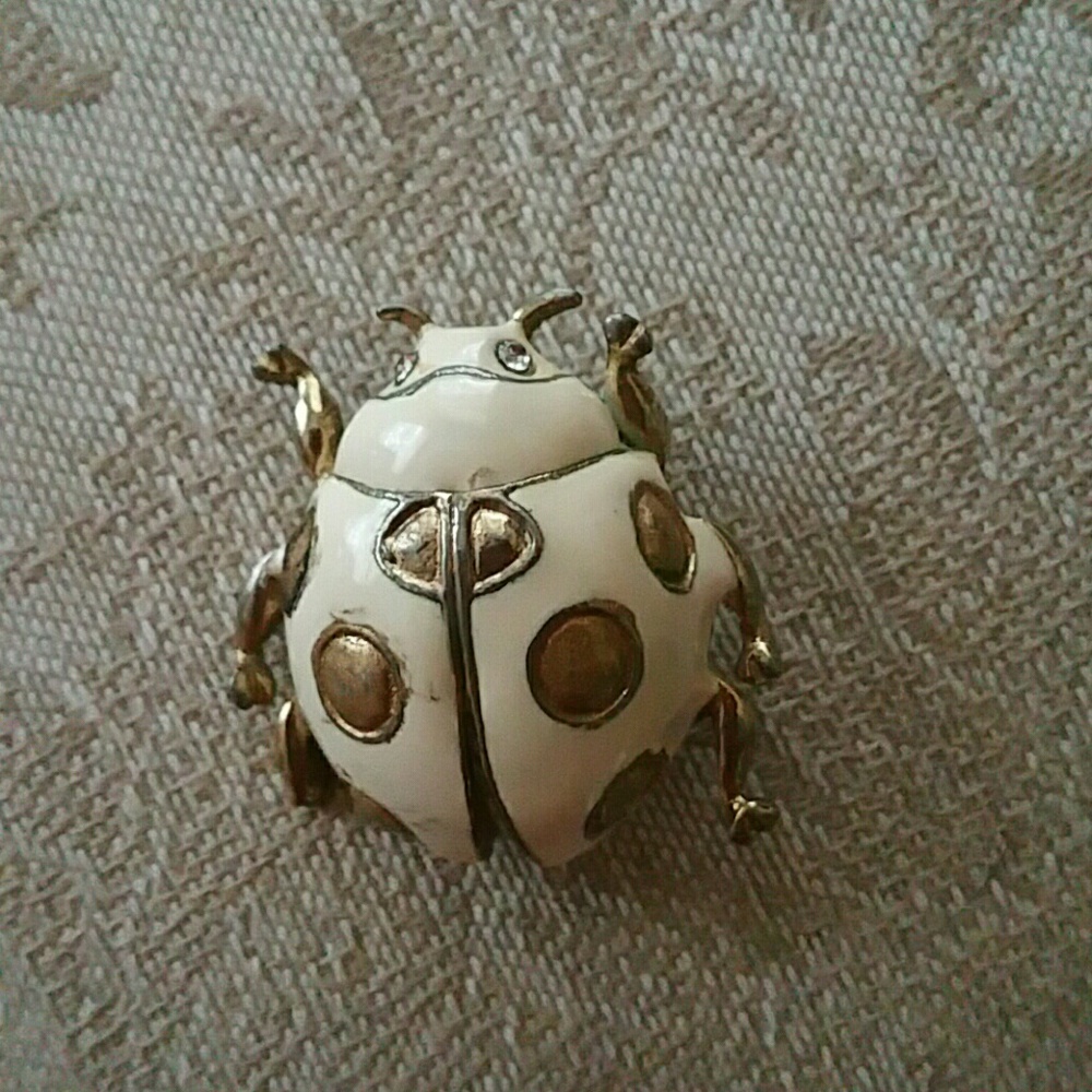 Ladybug  pin